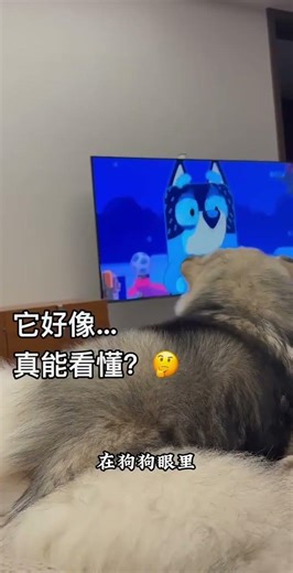 Unbelievable! Dogs Actually Understand Cartoons