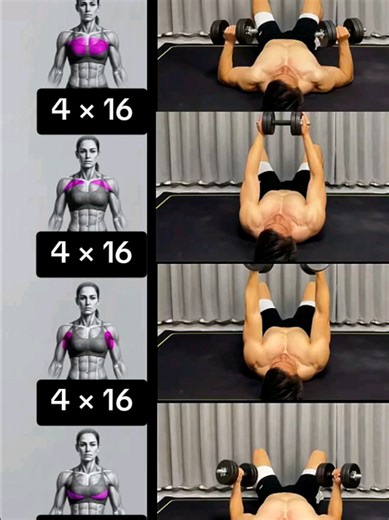 5 Beginner Chest Exercises with Dumbbells
