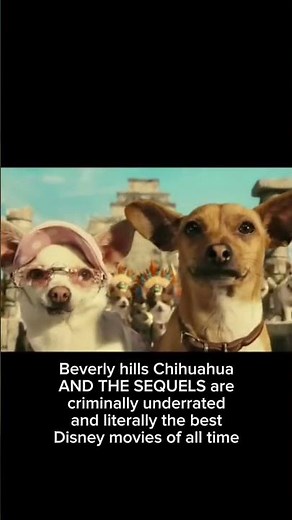 watch beverly hills Chihuahua, it's literally the best movie ever #beverlyhillschihuahua
