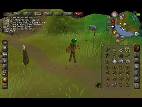 🐸 RuneScape (Oldschool): Lumbridge Swamp // Grinding Combat, Fishing, Cooking & Woodcutting Lvls ⚔️