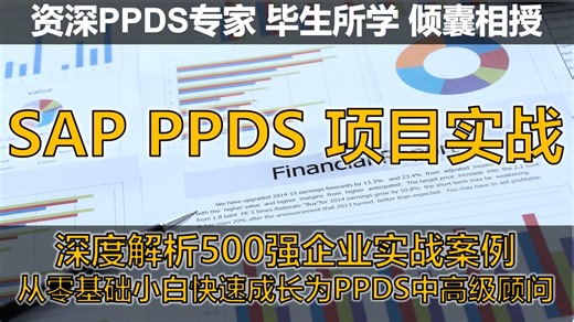 SAP PPDS项目实战-从零基础到PPDS中高级顾问