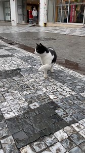 Kadikoy Patileri on Reels