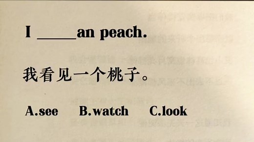 每日一练 || see/watch/look三个“看见”怎么选区分?一个视频轻松搞定！