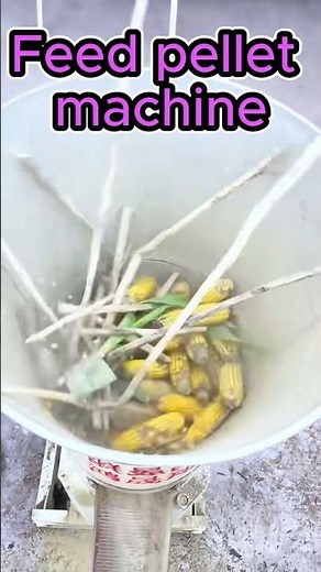 How to Make Animal Feed Pellets | Feed Pellet Mill Demonstration#feedpelletmachine #farmequipment
