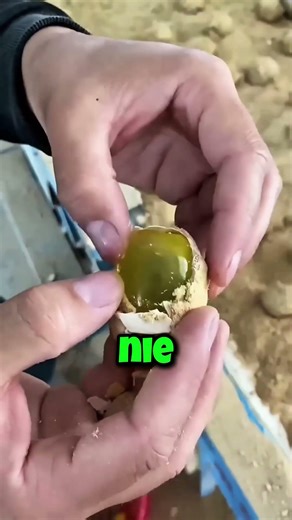 😲🥔 Surowe ziemniaki czy pyszne owoce? 🍳😋👍