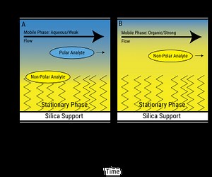 Différence entre chromatographie en phase inverse et chromatographie en interaction hydrophobe - Nouvelles 2025