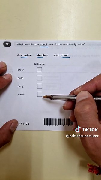 Understanding Root Words in English Grammar