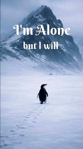 lone penguin walking away from its colony toward distant. #alone #penguin #viral