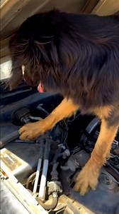 Yo he estudiado medicina xD #hablapapi #comedy #funny | Habla Papi