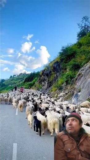 Tere jane bade bhi 🇮🇳👍🏻#youtubeshorts #viralvideo #youtubeshorts #mataramkumari