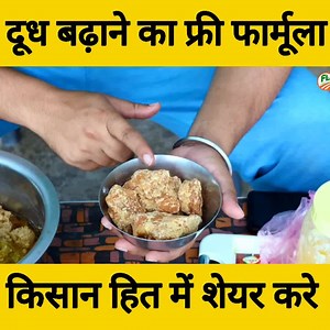 2M views · 10K reactions | गाय भैंस का दूध बढ़ाने का सस्ता व आसान फार्मूला | Desi Formula for increase Milk in Cow Buffalo #farmingleader #increasemilk #DairyFarming #milkincreaseformula #pashupalan #cow #buffalo #dhudbdhanekaformula #kheti #farmer #kisan # | Farming Leader | Facebook