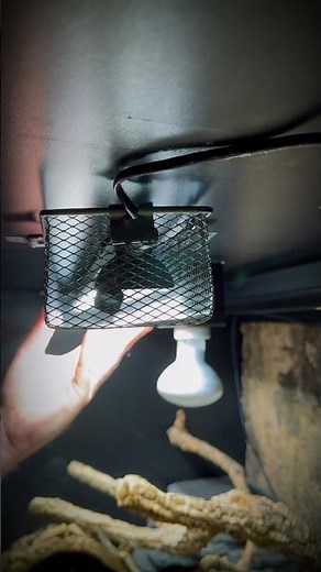 FINALLY! LumenIZE Compatible Lamp Guard Pro IS HERE!