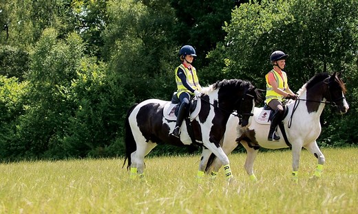 BHS Membership: Become A Member Today  | The British Horse Society