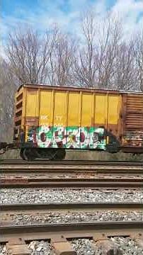 CSX Train breaks an air hose and Emergency stop part 1