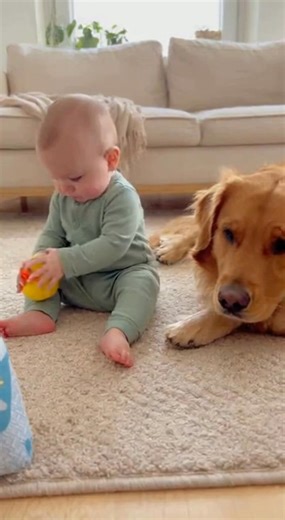The Cutest Audience! Dog Listens Intently to the Baby and His Rubber Ducky 🥹 | VIRAL Sukses