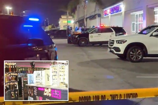 Customer fatally shoots alleged creep who groped shopper, threatened to kill everyone inside LA beauty store