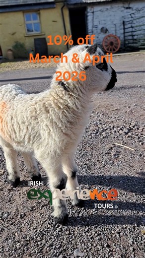 From Lambs to windy cliff tops and the Wild Atlantic Way. Small group bus tours, big Irish experiences. | Irish Experience Tours