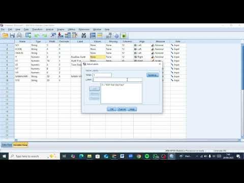Tutorial Penggunaaan Aplikasi SPSS (Statistik Deskriptif)