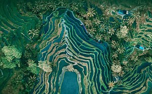 mysql 重置 root 口令，你就漏了这一步