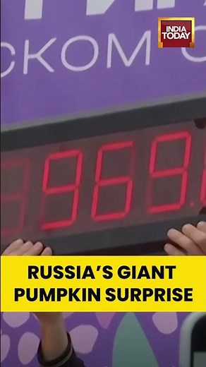 Russian farmer grows giant pumpkin weighing nearly 1 metric ton – a record-breaking harvest!