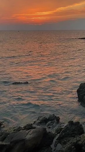 おもしろ動画 #面白い #爆笑 #おすすめ 😂😂 #funny #meme #foryou #xuhuong