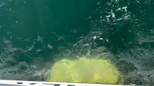 On board with the sleipner_official Vector stabilizer fins, we enjoyed an amazing stable ride aboard a 55 foot custom trawler. The fina are curved to deflect water upward to oppose roll force. On plane the fins create lift to counterbalance drag. The result is outstanding performance with a more stable ride and reduced wandering caused by competitive straight fins. @Randy Vance | Boating Magazine