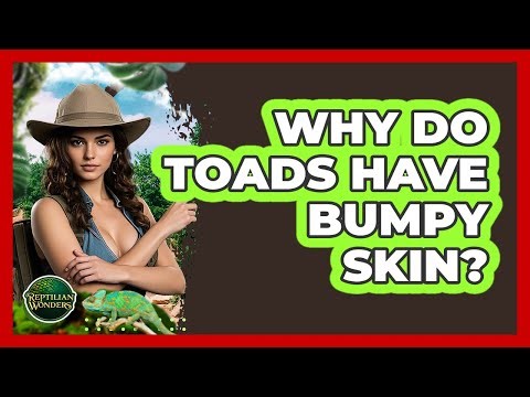 Why Do Toads Have Bumpy Skin? - Reptilian Wonders