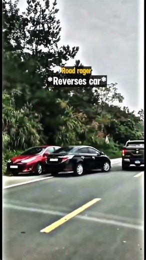Road Rager Tries To Cut Off The Wrong Driver