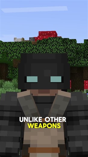Minecraft Feature No One Asked For