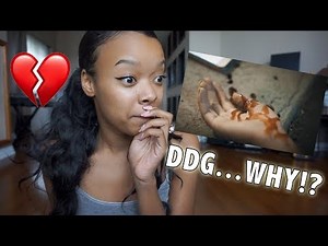 DDG "Arguments" Official music video REACTION | The Amateur Guru