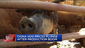 In breaking bacon news... Chinese hog prices are plunging to 4 year lows after a production boom. | CNBC