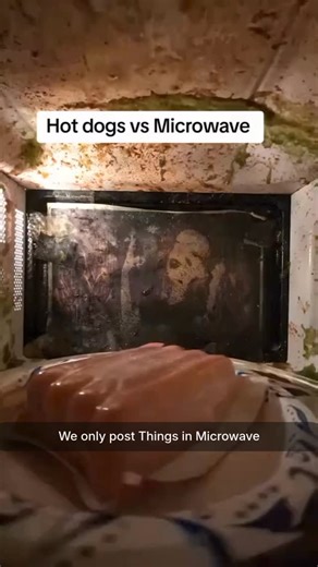 Things In Microwave on Instagram: "What really happens when it goes in the microwave? ⚡️ We try it, you watch the results. Like & follow for daily microwave tests. #microwave #microwavetricks #experiments #kitchenscience #curiosity"