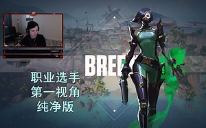 【100T BANG纯净版】双烟打法 微风岛屿Breeze蝰蛇Viper30杀MVP对局 无畏契约职业选手POV烟位第一视角纯净版_游戏热门视频
