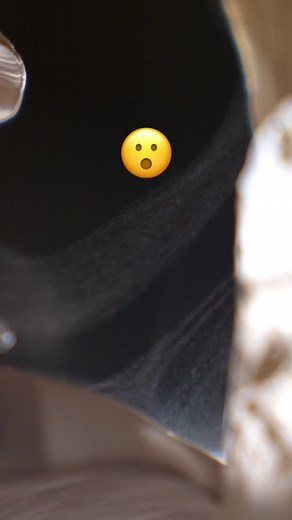 This is a mushroom releasing millions of spores! #mushrooms #fungi