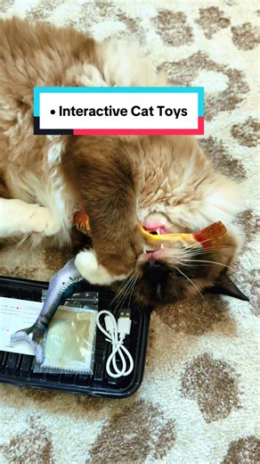 Interactive Cat Toys: Rechargeable Flopping Fish