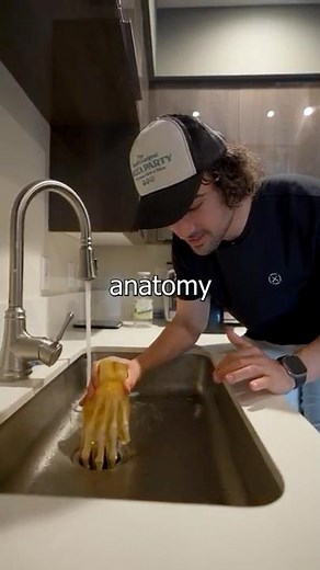 Hand vs Garbage Disposal