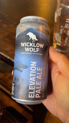 Beer Review: Elevation Pale Ale by Wicklow Wolf Brewing 🍺 #beer #craftbeer #irishbeer #ireland