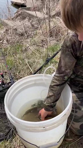 5.1K views · 96 reactions | These tadpoles about to be the biggest frogs  #tadpoles #frogs #bluegabe | BlueGabe | Facebook