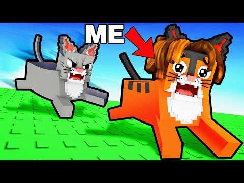 I Secretly Cheated in a $1000 Youtuber Competition!