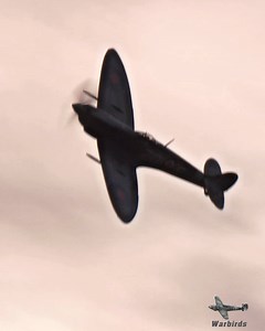 157K views · 5K reactions | The beautiful Spitfire MH415 with its Rolls-Royce Merlin 66 engine thunders across Hahnweide 2025 in a dramatic low pass before pulling into a perfect victory roll. Nothing compares to the sharp, powerful tone of a Merlin 66 at full song. Enjoy the sound! ✨@Top-Fans #Spitfire #SupermarineSpitfire #warbirds #RollsRoyceMerlin | Warbirds | Facebook