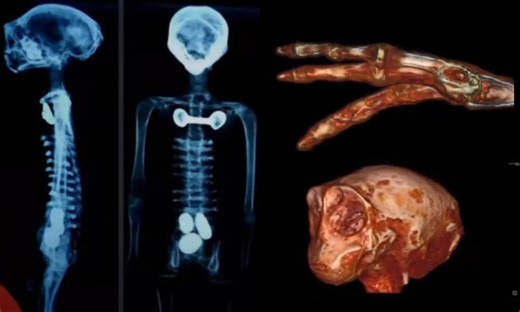 Fotos: así se ven los supuestos cuerpos disecados de ‘seres no humanos’ de México