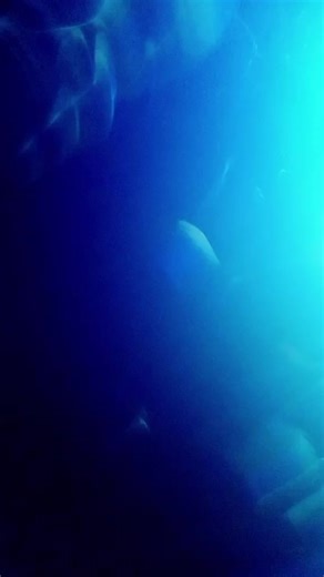 BillClin (@billclin)’s videos with original sound - BillClin