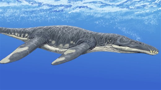 The ocean predators that ruled before science fully understood them