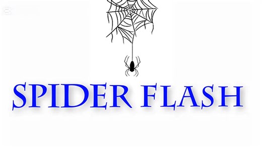 MJM Magic - Spider Flash by Mago Flash