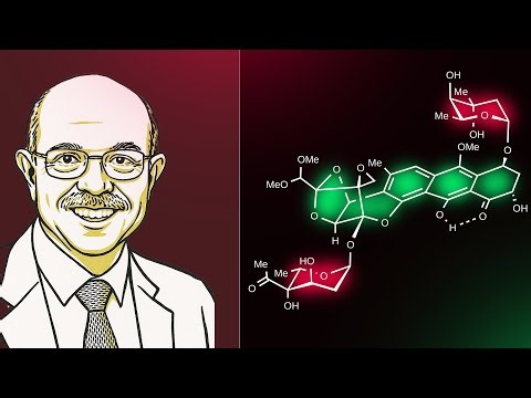 This Is How Nicolaou Do Synthesis (Total Synthesis Of Trioxacarcin D)