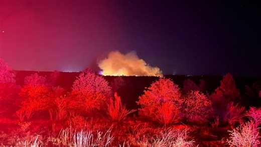Spring Pine fire in Bastrop State Park burns 46 acres, currently 75% contained