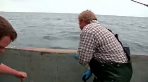 42K views · 407 reactions | Cod is back big time! Learn all about this historic fishery from Cold Water Cowboys star Paul Tiller. Video edited by Harrison Perez. | Cold Water Cowboys | Facebook