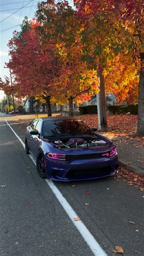 jamie🐈‍⬛ on Instagram: "poppin 🐈‍⬛ • • • #hellcat #hellcatchallenger #hellcatcharger #hemipower #392charger #scatpackcharger #hellcatredeye #dodgechallengerhellcat #dodgechargerhellcat #srtcharger #srtchallenger #hellcats #hellcatfam #hellcatwidebody #hellcatclub #hellcatdaily #dodgehellcat #dodgest #musclecarsonly #chargerst #dodgedemon #moparchargers #trackhawk #dodgechargerst #dodgechallengerst #challengerhellcat #srthellcat #challengerscatpack #explorepage #explorepage"
