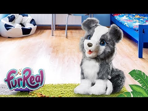 FurReal Friends Latino América - Ricky el Cachorro Habilidoso - ¡Da la patita!