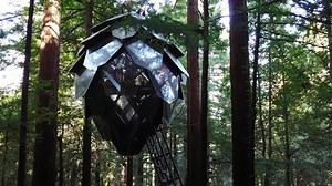 We're excited to share that Episode 1 of The Pinecone Series featuring Dirtwire is now live! 🎉 Pinecone Treehouses, Live-Music, and Festival Family ✨💗✨ Head over to https://cometolife.com/dirtwire-steppegrass-the-pinecone-series-episode-1/ to check out the full video! 🤩 🌿 A collaboration with Guayakí Yerba Mate Come To Life and O2 Treehouse 🌿 | Third Eye Pinecones